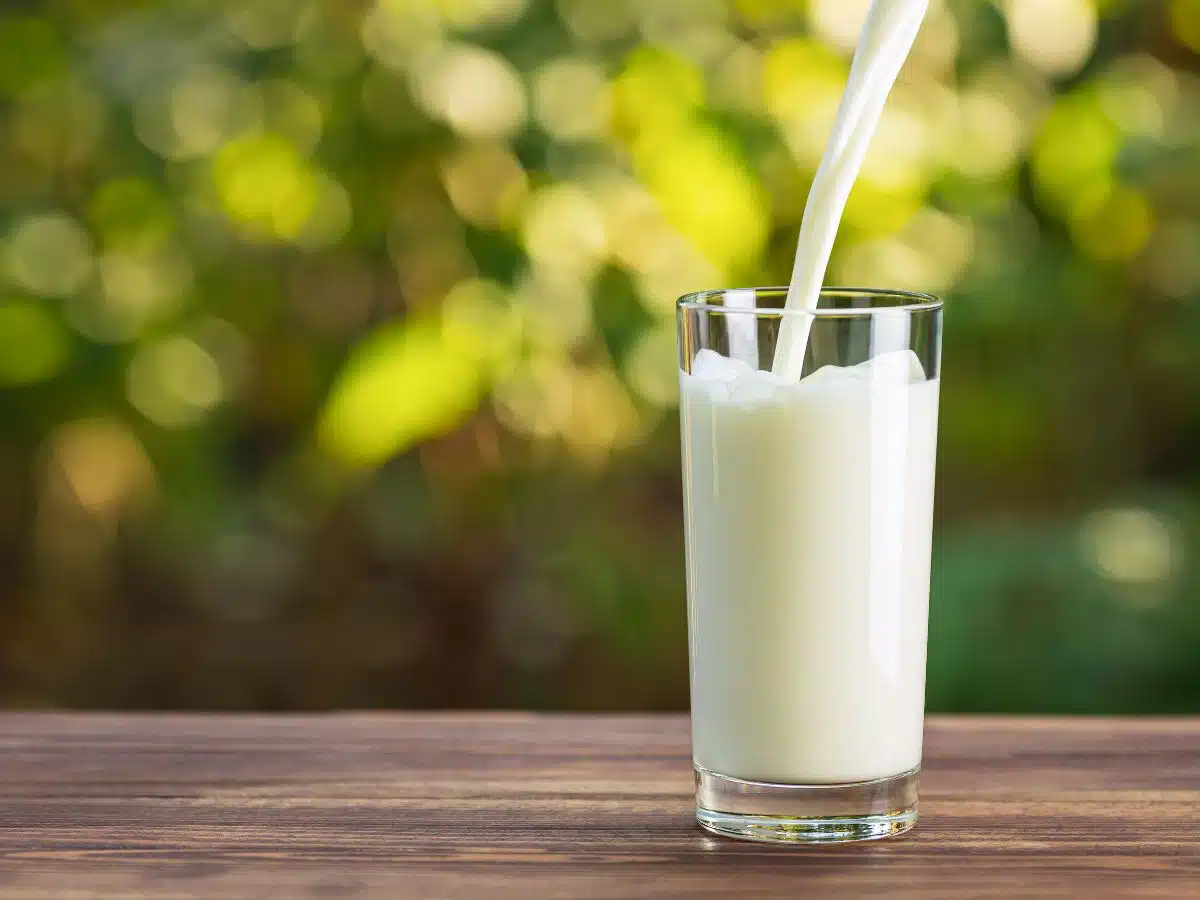 Vibmilk - melk