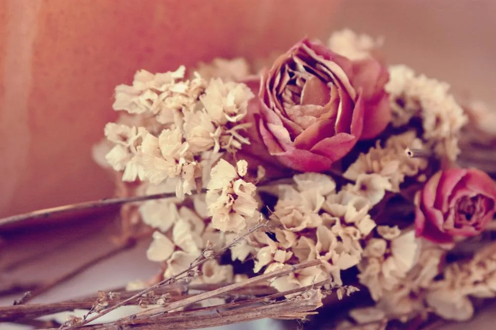 Bloemen gedroogd
